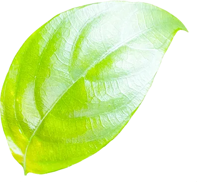 葉