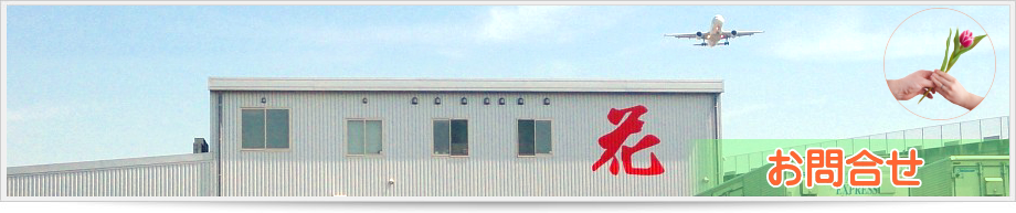 �O�a���^ ���⍇��