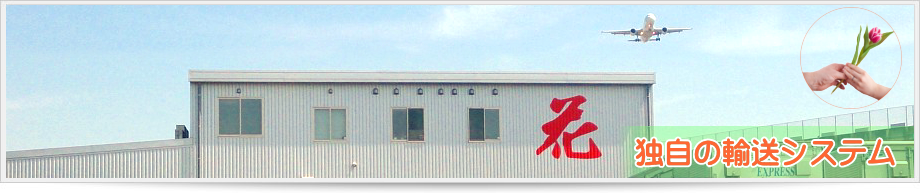 �Ǝ��̗A���V�X�e��