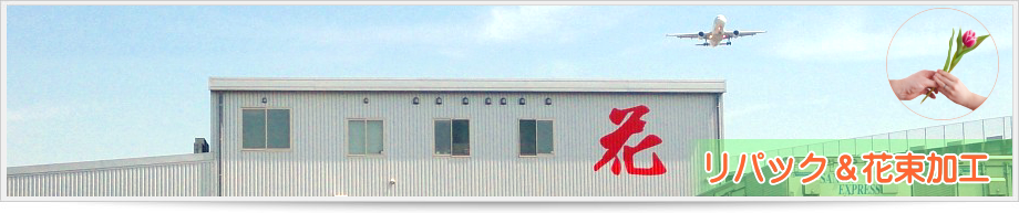 ���p�b�N�E�ԑ����H