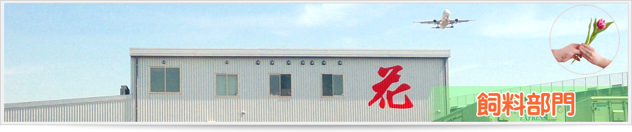 �O�a���^ ��������